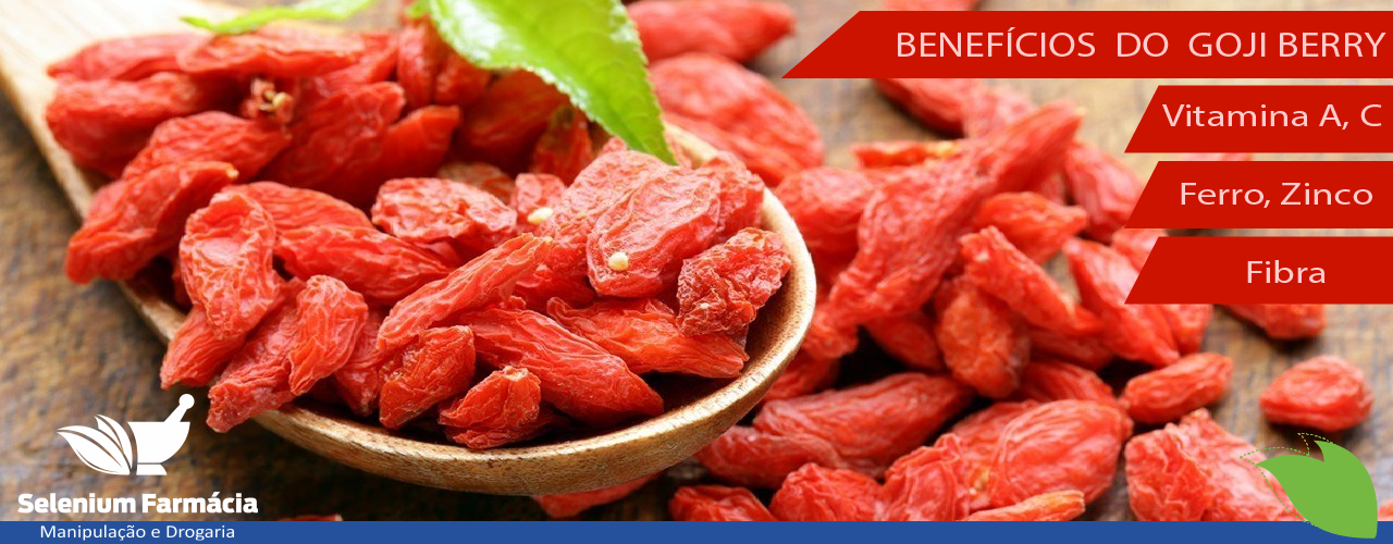 Goji Berry: 6 benefícios que você precisa saber.