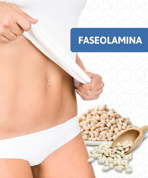 FASEOLAMINA 500mg | Reduz a absorção de carboidratos, Intestino, auxilia no emagrecimento e mais.