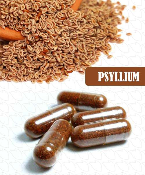 PSYLLIUM 500mg | Produz saciedade, bloqueador de açúcar, possui fibras e mais.