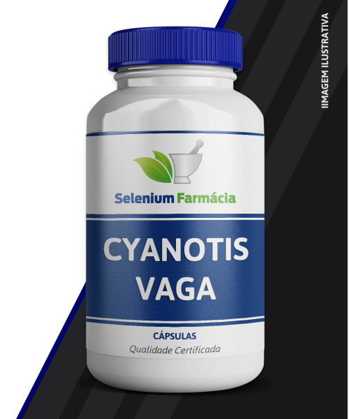 Cyanotis Vaga 200mg | Melhora o desempenho físico, melhora função hepática, aumenta massa e mais.