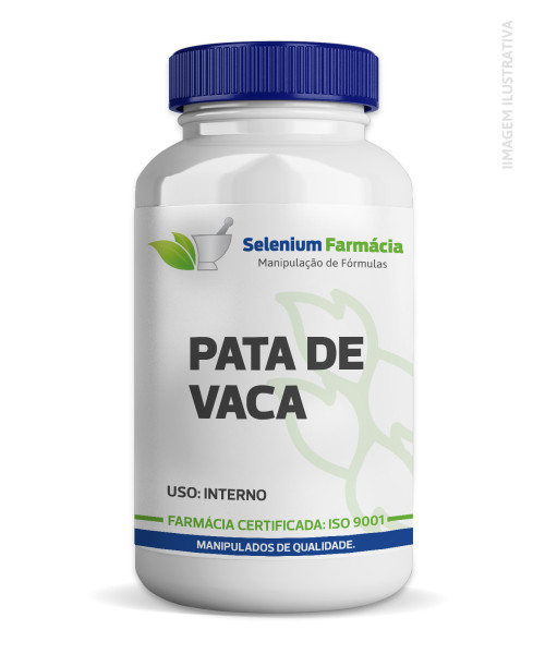 PATA DE VACA 250mg | Reduz a glicose, controla o colesterol, ação diurética e mais.